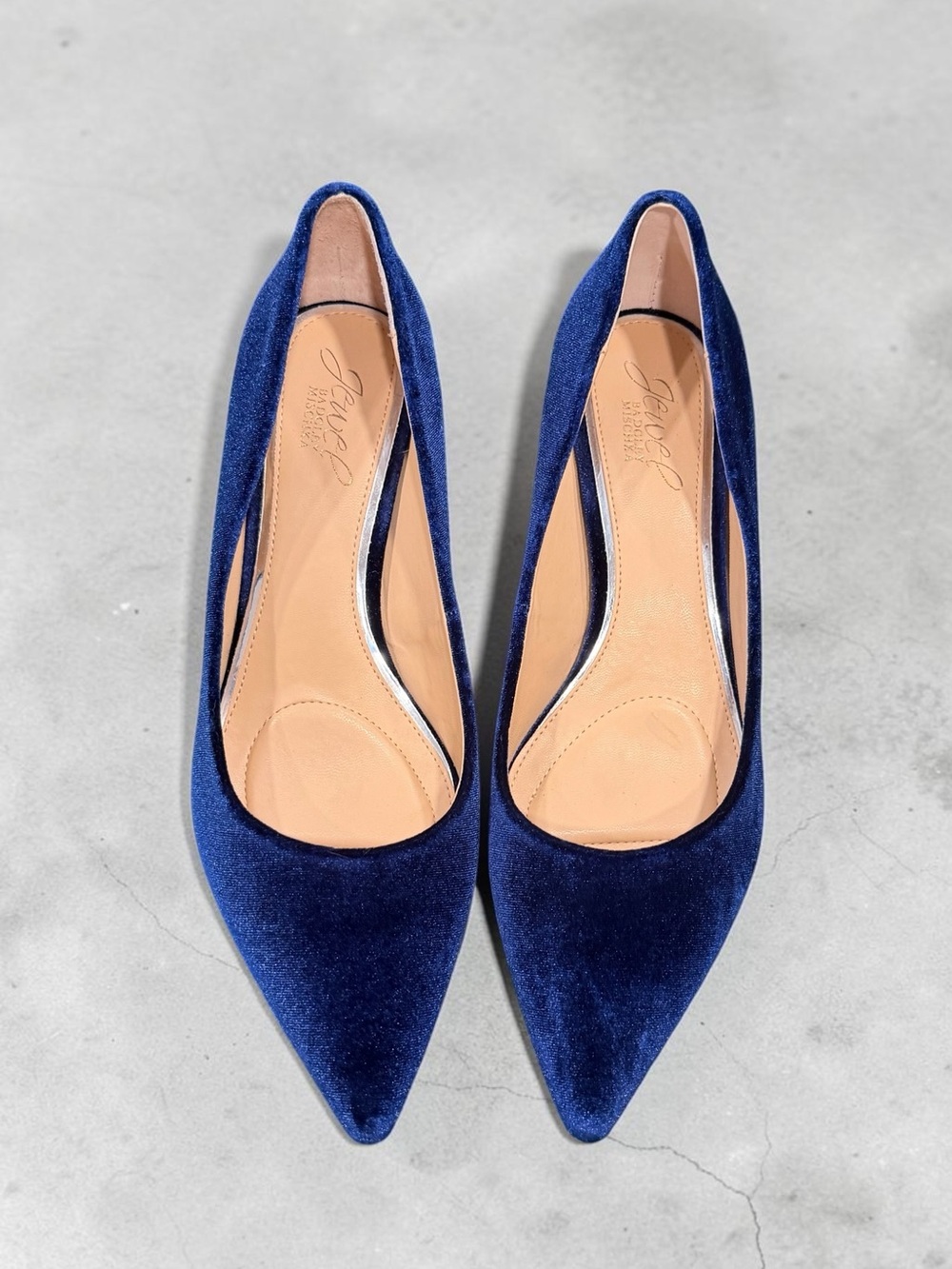 Badgley Mischka Blue Velvet Kitten Heels